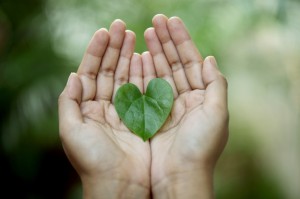 Hands holding a heart shaped green leaf